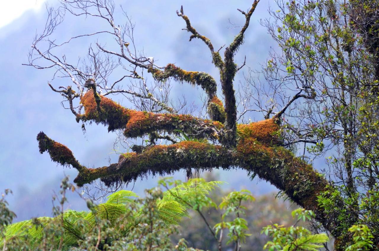 Rainforest Deluxe Земля Франца-Иосифа Экстерьер фото